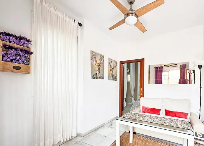 Atico Con Terraza Privada